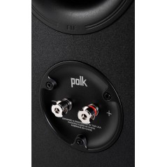 Standlautsprecher Polk Audio RESERVE R500