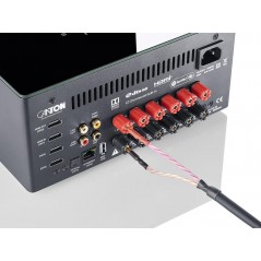 Multiroom AV-Verstärker Canton Smart Amp 5.1 AP 2.0